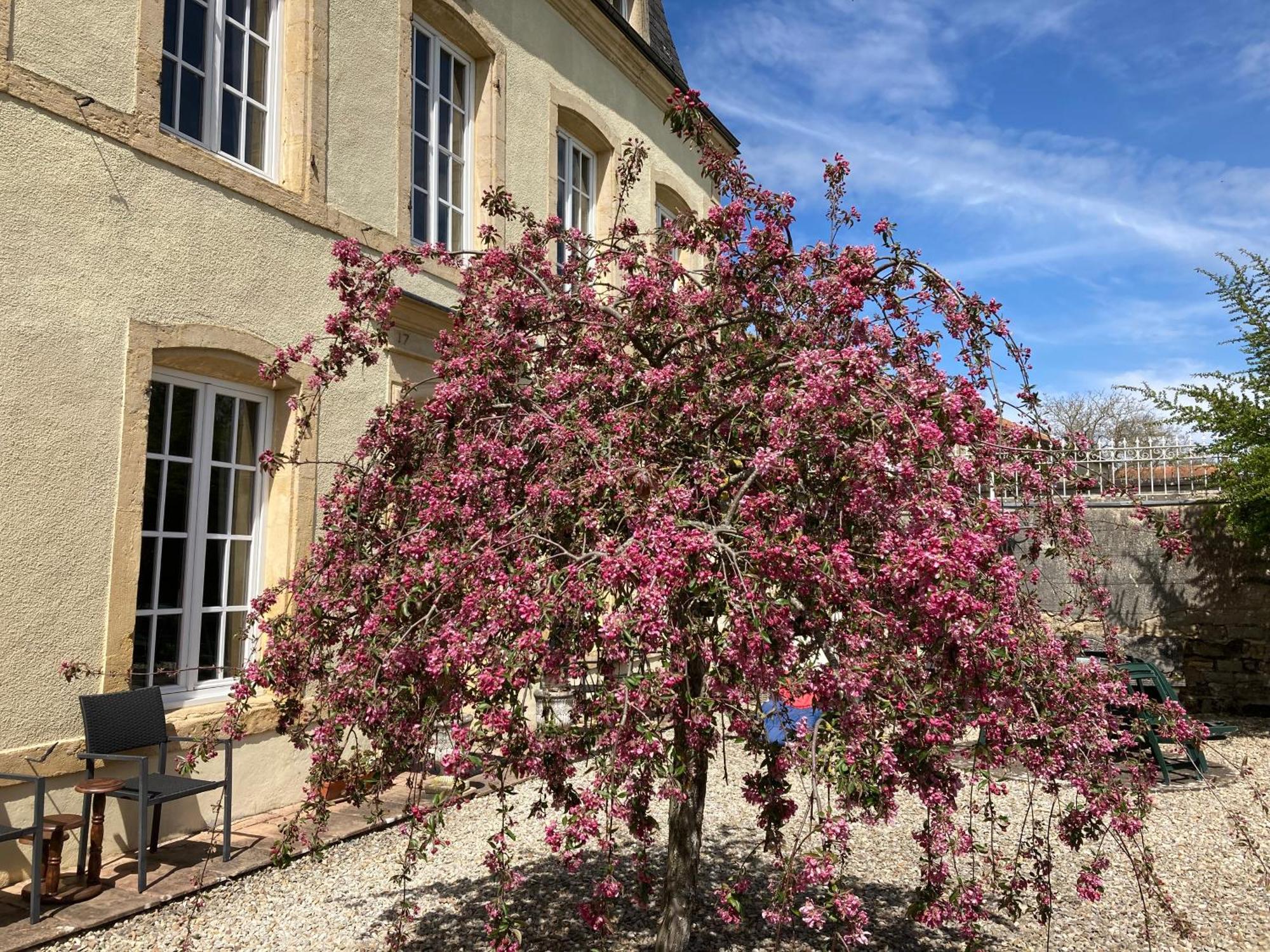 Maison Les Beaux Arts Mouzay  Екстериор снимка
